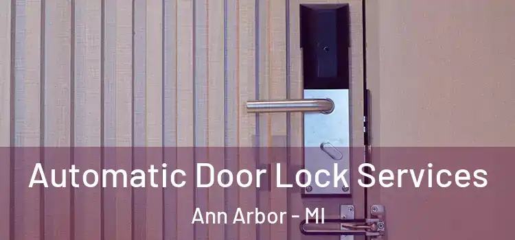 Automatic Door Lock Services Ann Arbor - MI