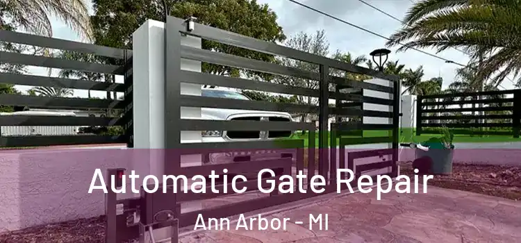 Automatic Gate Repair Ann Arbor - MI