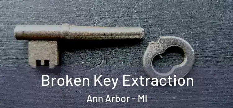  Broken Key Extraction Ann Arbor - MI