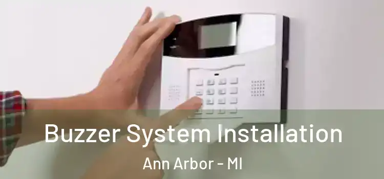 Buzzer System Installation Ann Arbor - MI