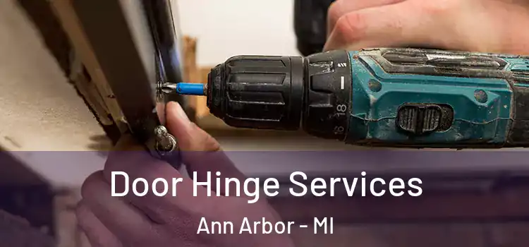  Door Hinge Services Ann Arbor - MI