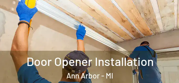  Door Opener Installation Ann Arbor - MI