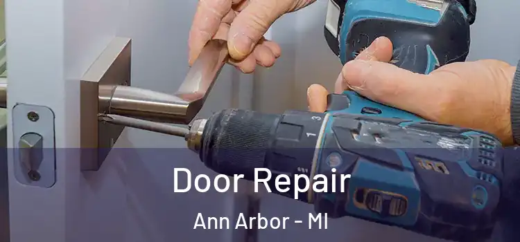  Door Repair Ann Arbor - MI