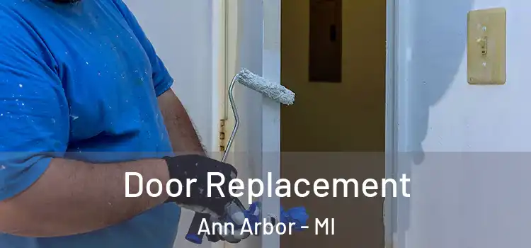 Door Replacement Ann Arbor - MI