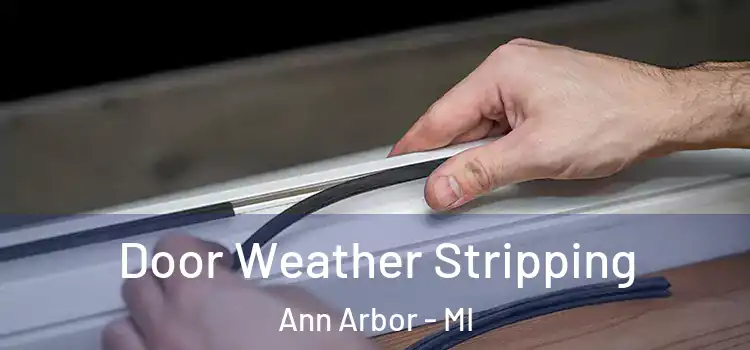 Door Weather Stripping Ann Arbor - MI