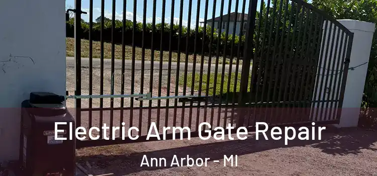  Electric Arm Gate Repair Ann Arbor - MI
