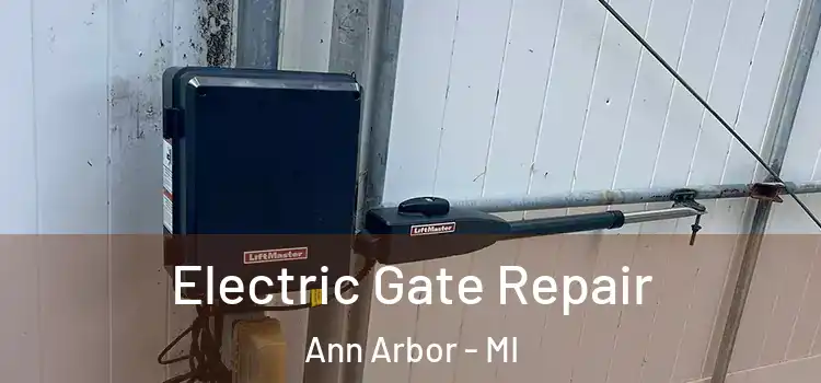  Electric Gate Repair Ann Arbor - MI