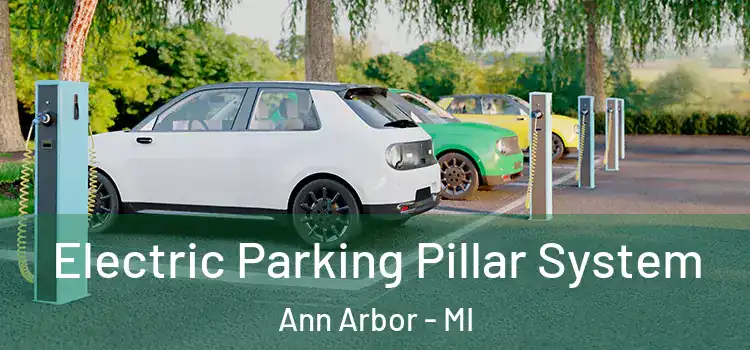 Electric Parking Pillar System Ann Arbor - MI