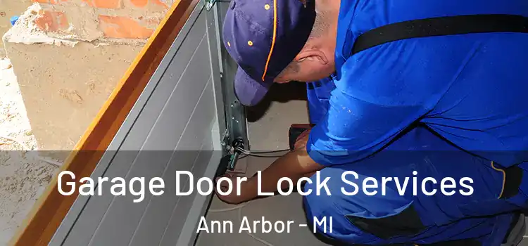 Garage Door Lock Services Ann Arbor - MI