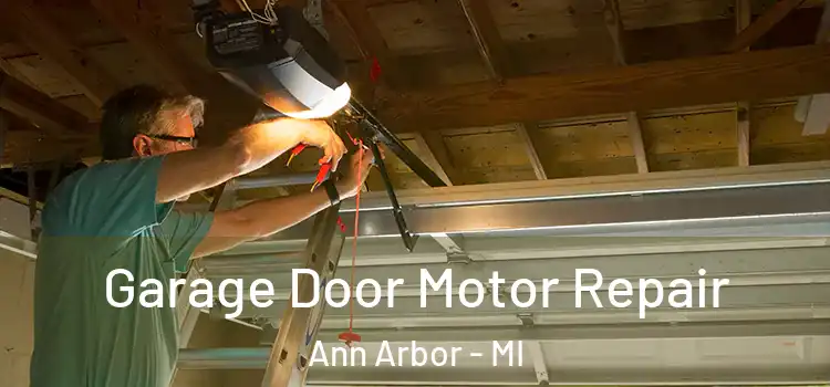  Garage Door Motor Repair Ann Arbor - MI