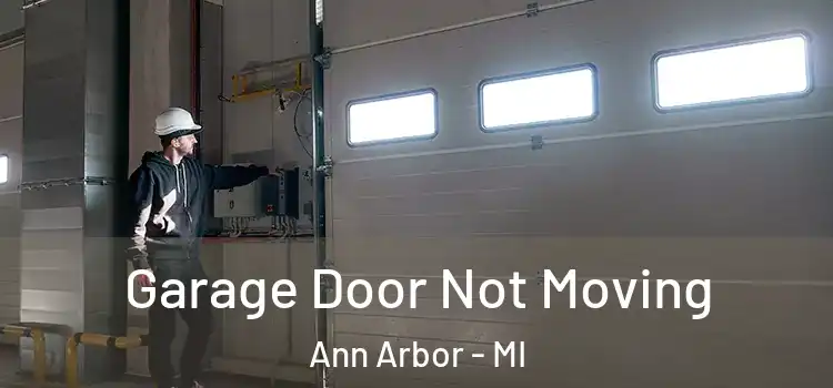  Garage Door Not Moving Ann Arbor - MI