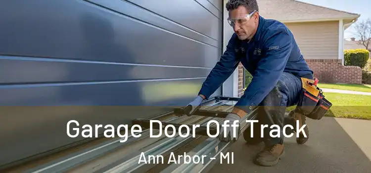  Garage Door Off Track Ann Arbor - MI