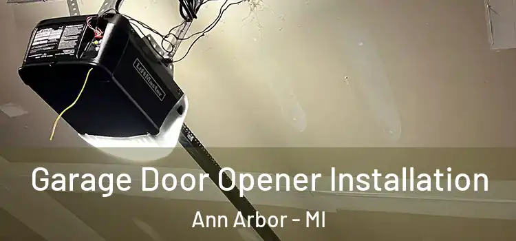  Garage Door Opener Installation Ann Arbor - MI