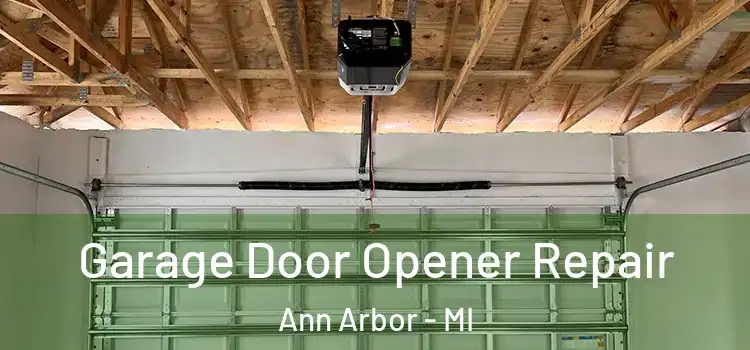  Garage Door Opener Repair Ann Arbor - MI