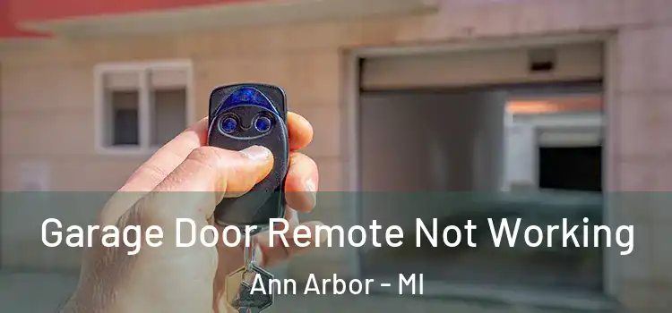  Garage Door Remote Not Working Ann Arbor - MI