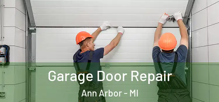  Garage Door Repair Ann Arbor - MI