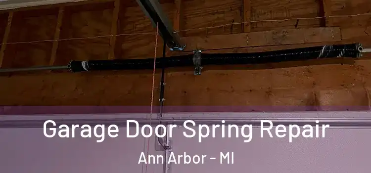  Garage Door Spring Repair Ann Arbor - MI