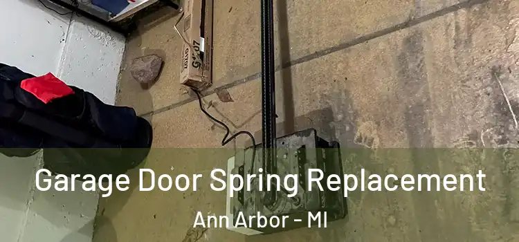  Garage Door Spring Replacement Ann Arbor - MI