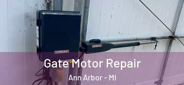 Gate Motor Repair Ann Arbor - MI