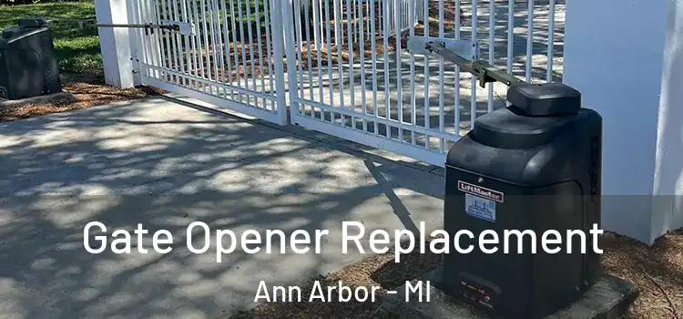  Gate Opener Replacement Ann Arbor - MI