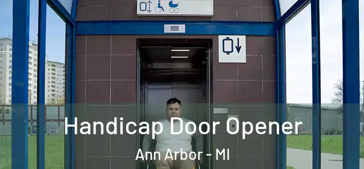  Handicap Door Opener Ann Arbor - MI