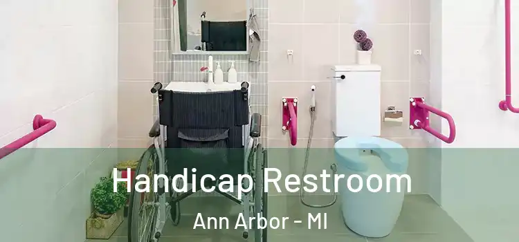 Handicap Restroom Ann Arbor - MI