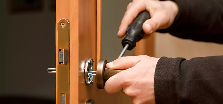 Rekey Car Locks Ann Arbor