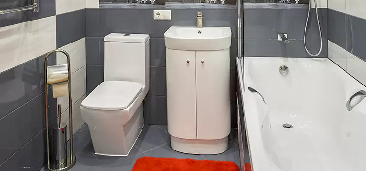 Hansgrohe Shaving Mirror Ann Arbor