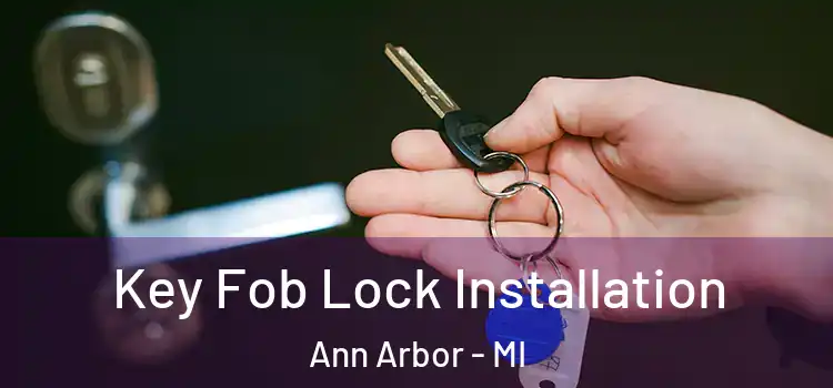  Key Fob Lock Installation Ann Arbor - MI