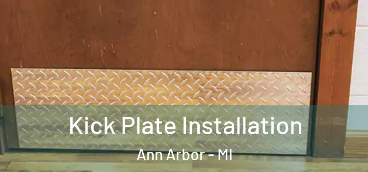  Kick Plate Installation Ann Arbor - MI