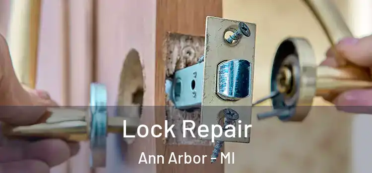 Lock Repair Ann Arbor - MI