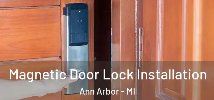  Magnetic Door Lock Installation Ann Arbor - MI