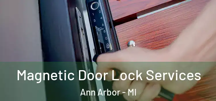  Magnetic Door Lock Services Ann Arbor - MI
