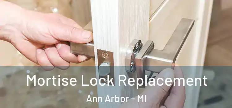 Mortise Lock Replacement Ann Arbor - MI