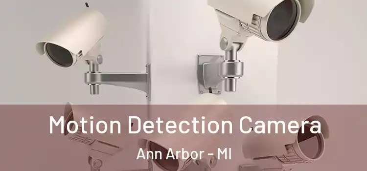  Motion Detection Camera Ann Arbor - MI