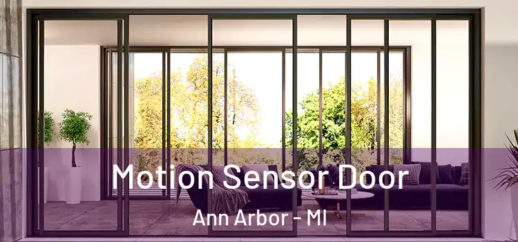 Motion Sensor Door Ann Arbor - MI