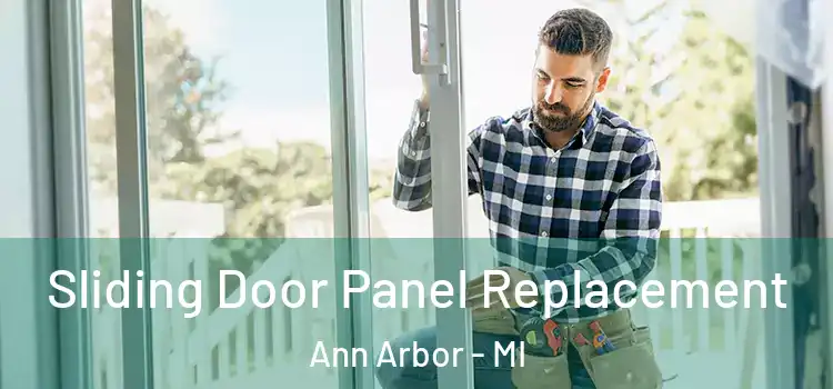  Sliding Door Panel Replacement Ann Arbor - MI