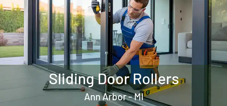 Sliding Door Rollers Ann Arbor - MI