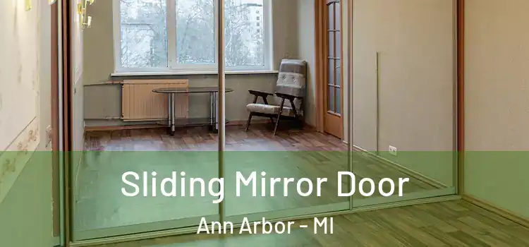 Sliding Mirror Door Ann Arbor - MI
