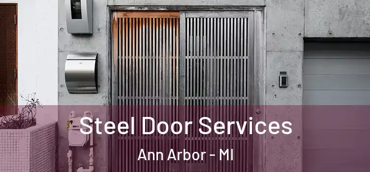  Steel Door Services Ann Arbor - MI